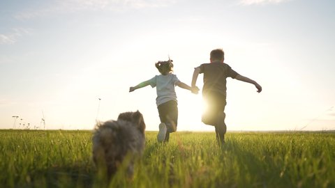 Happy cheerful family. Children have fun running on green grass in park with dog. Girl and boy are play in field in the spring with dog. Love for pet. Children run with dog at sunset in summer.: film stockowy