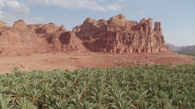 Al Ula, Saudi Arabia. High quality aerial drone video.Wide view of landscape and rock formation in the Al Ula Unesco World Heritage tourism site, landscape of sand, rocks and palm orchards.
