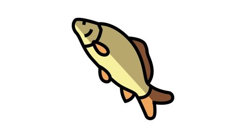 common carp color icon animation