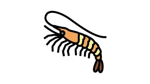 white leg shrimp color icon animation