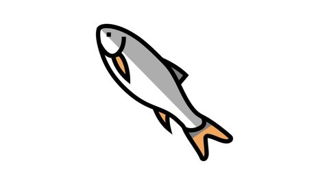 rohu fish color icon animation