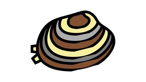 manila clam color icon animation