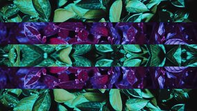 Collage, Mirror Effect, Stylish Neon Illuminated Frame with Leaf Texture. Colorful Texture in Nature. Natural Background in Motion. Foliage Texture in Neon Glow - Powered by Shutterstock - Get 15% off with code: PIKWIZARD15