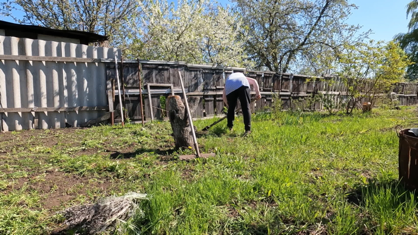 A woman weeding weeds in the garden with a shovel