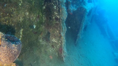 Scuba divers swims on the Shipwreck Swedish ferry MS Zenobia. Wreck diving. Mediterranean sea, Cyprus. Maritime disasters. Underwater 4K video filming Shot Of Sunken Ship. World tragedies underwater.