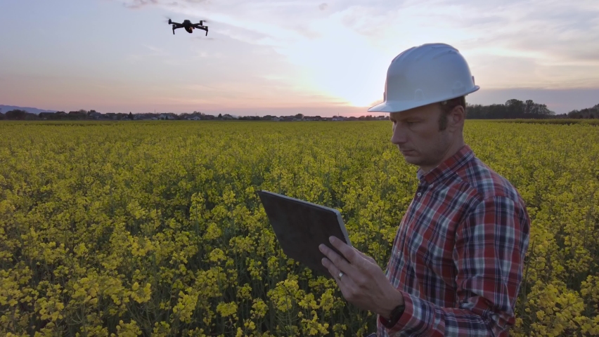 Engineer using a drone to analyze blooming agricultural fields, during summer sunset Royalty-Free Stock Footage #1091000533