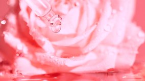 Pink serum fluid, oil drop from dropper falling in water on blurred rose flower - Powered by Shutterstock - Get 15% off with code: PIKWIZARD15