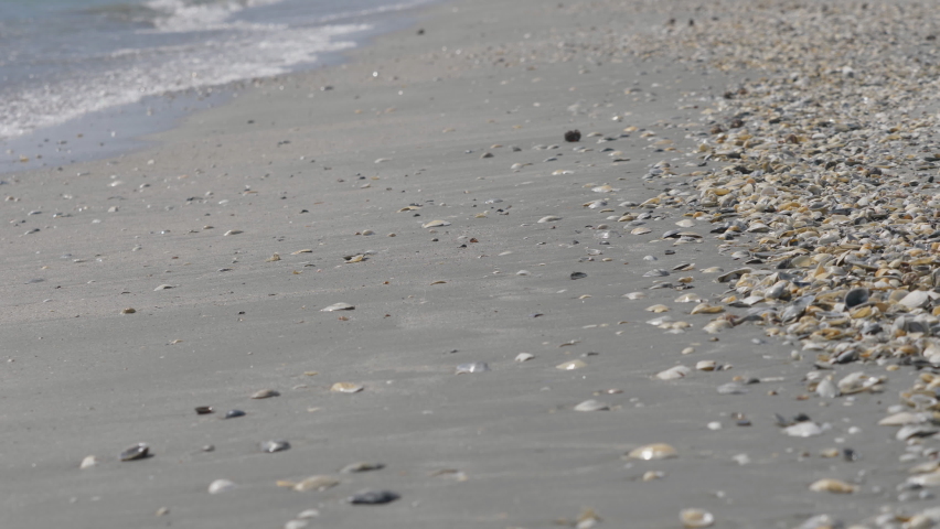 Shells and sand on beach, sea waves - Powered by Shutterstock - Get 15% off with code: PIKWIZARD15