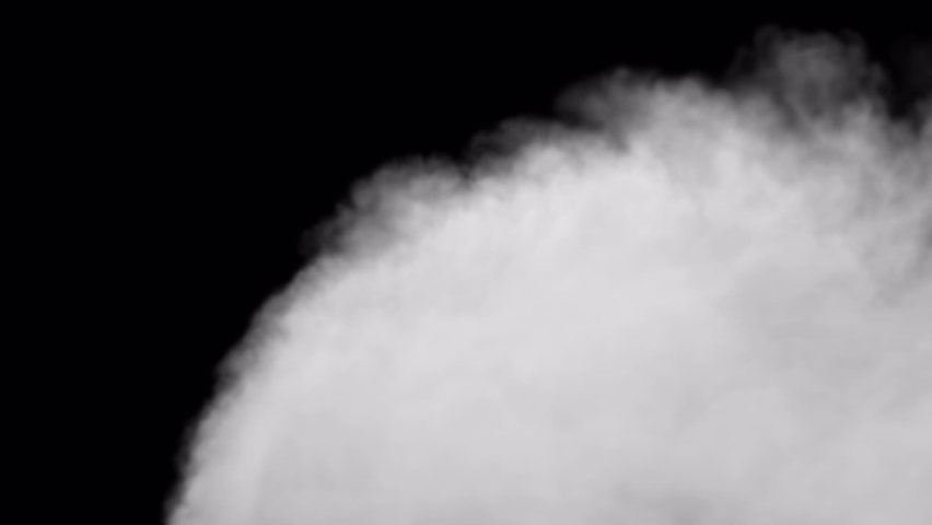 Shutterstock Video
