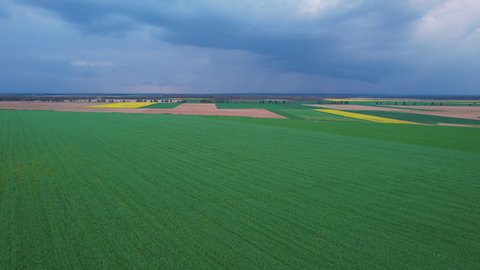 AERIAL: View of large cultivated farmland with crop fields on under storm clouds. Flying over big rural agricultural crop fields. Functional land usage at countryside for organic vegetable production.