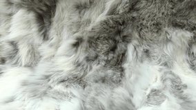 Gray Fur Background Texture Close-up Motion Video