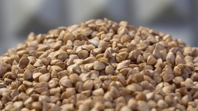 A bunch of buckwheat close-up, detailed video. Buckwheat cereal macro
