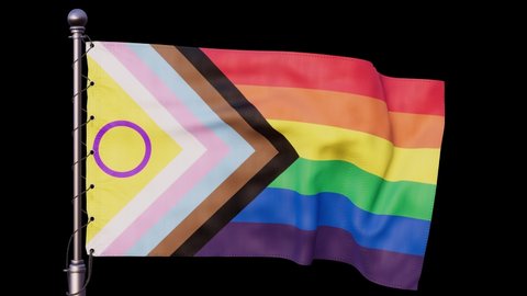 LGBTQIA flag on black background. Diversity and inclusion concept. 3d animation perfect loop