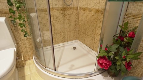 Bathroom with shower and water heater. flowers in the decor. interior of the shower and toilet. rent and sale of secondary housing.