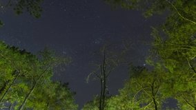 4K Time Lapse video, camping under pine trees at Huai Nam Dang National Park, Thailand, at night and the star trails are spectacular.
