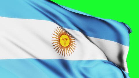 Loop of Argentina flag waving in wind texture on green background Argentina flag.  flag video waving in wind