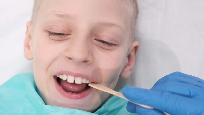 Shutterstock video thumbnail