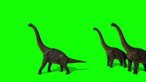 Brachiosaurus Sauropod Walking Eating Leaves Trees Stock Footage Video ...