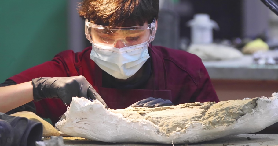 A paleontologist removing a fosil from the rock matrix wearing face mask and eye protection. Royalty-Free Stock Footage #1091053203