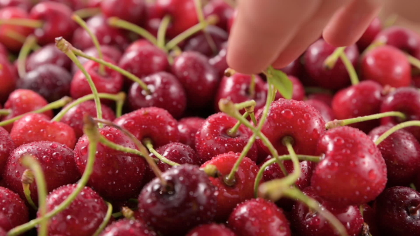 sweet cherry. Fresh juicy wet red cherry rotation. Bird-cherry berries. Loop motion. High quality FullHD footage Royalty-Free Stock Footage #1091054133