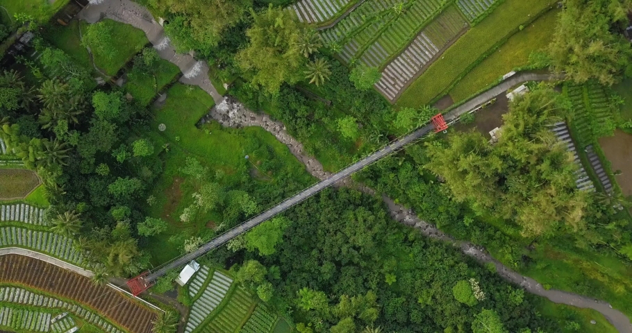 Vertical drone shot of river with waterfall metal with suspension bridge on it, surrounded by trees and plantation, motorcycle croosing on it. Mangunsuko or Jokowi bridge on Central Java, Indonesia