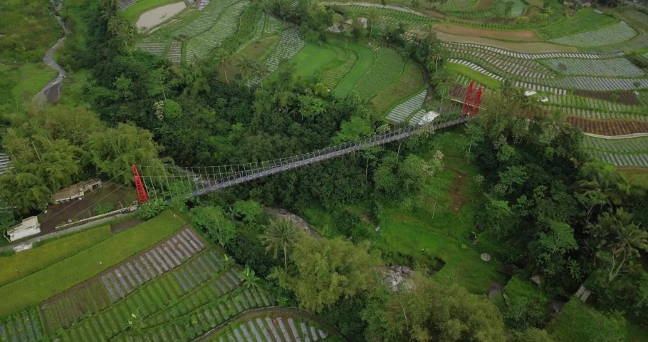 Drone shot of metal suspension bridge build over valley with river on the bottom and surrounded by trees and vegetable plantation. Named Mangunsuko or Jokowi bridge on Central Java, Indonesia