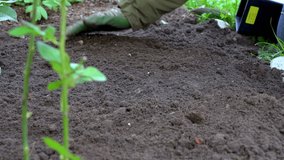 The gardener prepares the soil for planting flowers in the bed Slow motion video