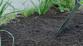 A gardener digs a flower bed with a spade. Slow motion video.