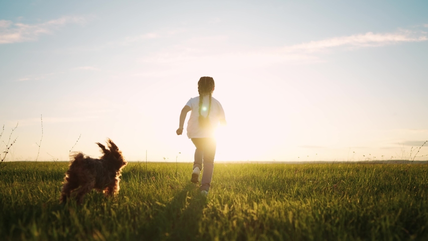 little girl child and dog a run in the park. happy family kid dream holiday concept. girl child silhouette view from the back runs with a pet dog on the grass in the summer in the park at sunset Royalty-Free Stock Footage #1091080251