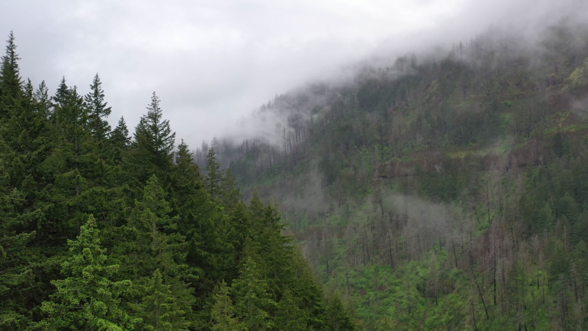Rain clouds drift over the mountainous Columbia River Gorge in Oregon. The expanse of forests in this Pacific Northwest region thrive due to the geology, geography, and moist climate.