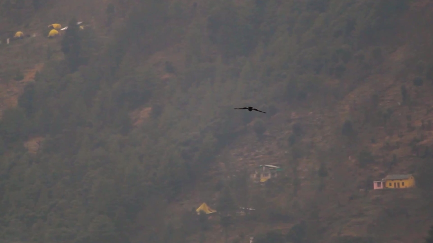 Hand held shot of an eagle flying in the sky in front of the mountains at Manali in Himachal Pradesh, India. Eagle looking for its prey while flying in the sky. 