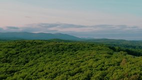 Aerial drone video footage of a vast endless forest with rolling green hills in the mountains during summer at sunset