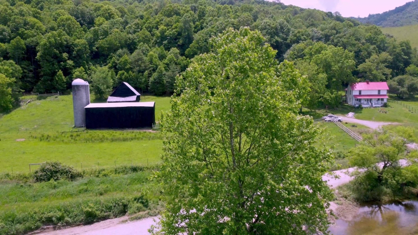 AERIAL PULLOUT FROM SYCAMORE TREE NEAR FARM IN SUGAR GROVE NC NEAR BOONE NC, NORTH CAROLINA