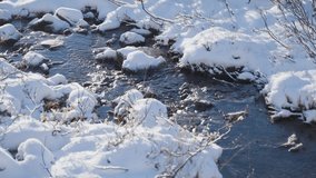 The first snow is powdered over the low bushes and withered grass on the banks of the small creek. Close-up, slow-motion. - Powered by Shutterstock - Get 15% off with code: PIKWIZARD15