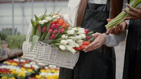 Female flower shop vendor holding a wicker basket full of tulips, slow motion video.