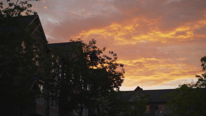 Establishing shot of townhouses roofs during golden hour as a bird flies through the frame.