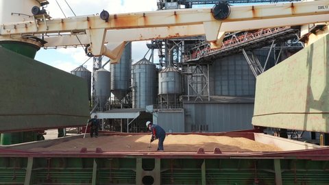 2021-06-09 Mariupol, Ukraine. Ukrtransagro LLC. Pest control service workers doing fumigation in cargo holds of grain bulker ship. Men throw fumigant tablets into wheat to remove insects.