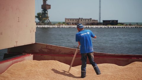 2021-06-09 Mariupol, Ukraine. Ukrtransagro LLC. Pest control service workers doing fumigation in cargo holds of grain bulker ship. Men throw fumigant tablets into wheat to remove insects.