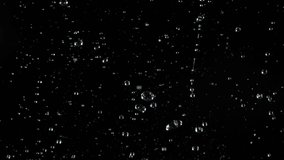 Super slow motion of realistic rain shower on black background. Filmed on high speed cinema camera, 1000 fps. - Powered by Shutterstock - Get 15% off with code: PIKWIZARD15