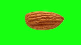 An almond nut rotates on a green background. videos can be ordered. isolate.