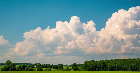 Timelapse of sky background with tiny fluffy clouds in sunny day over forest