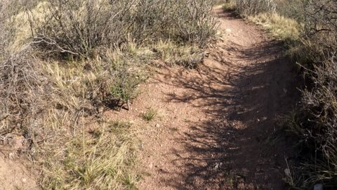 First person POV  from riding mountain bike on a single track trail in Colorado, early spring scenery in Soapstone Prairie Natural Area