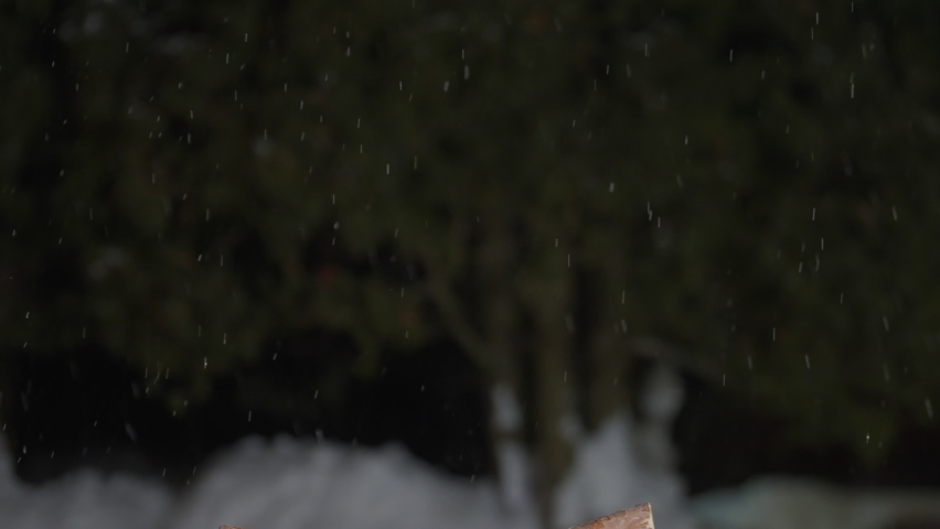 Slow motion of big eurasian great horned eagle owl on leash flapping extended wings, flying, landing from flight, perching, balancing on branch pole, turning head back, snow falling in winter night.