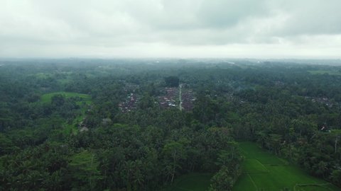 Aerial drone view to green rice fields and jungle in Bali