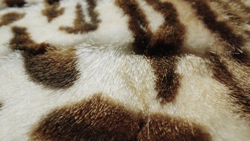 Texture of spotted fur of wild animals. Real fluffy white brown fur, soft warm fur coat, clothes made of artificial furry fabric. Fleecy furry fabric. Fashion industry textile. Extreme close up. Royalty-Free Stock Footage #1091180347