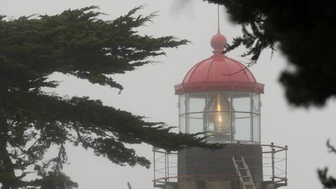 Point Pinos old historic lighthouse fresnel lens glowing, foggy rainy bad weather. Illuminated retro vintage light house or beacon tower, misty cypress pine tree forest. Monterey, California coast USA