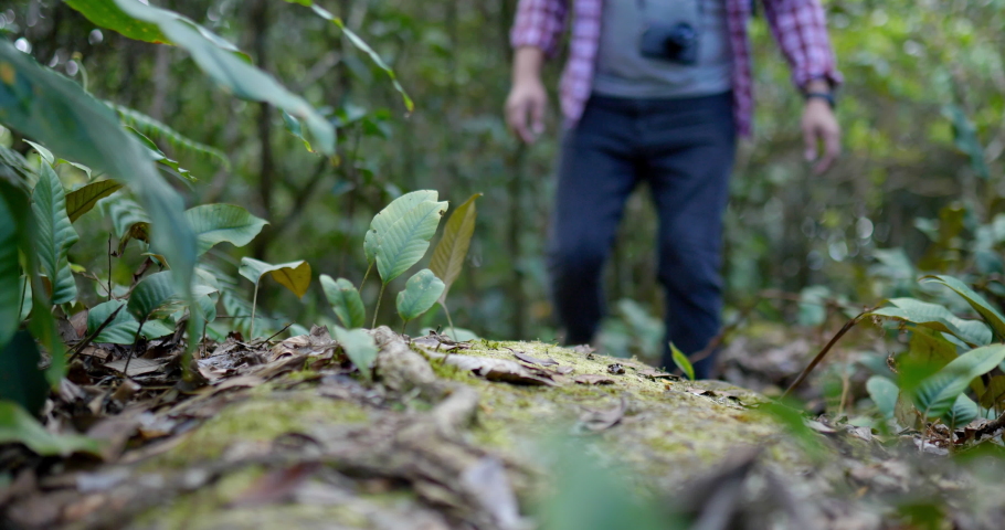 slow-motion shot, Close up view, hiking man with trekking sneakers walking step over leaves on ground in the natural forest Royalty-Free Stock Footage #1091192949