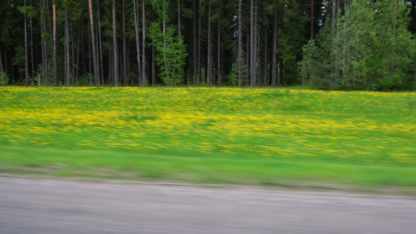 View through side window of car auto in motion on road. Highway along green forest and trees in summer. Tourism and travel, journey trip concept. Beautiful nature and landscape. Car speeding on road.