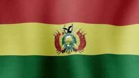 Animation of the national flag of the country of Bolivia fluttering in the wind with a fabric texture in 4K