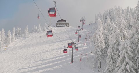 Red ski gondolas at Poiana Brasov above Ruia piste, with snow covered trees during the Winter season. Poiana Brasov, Romania - March 9, 2022.